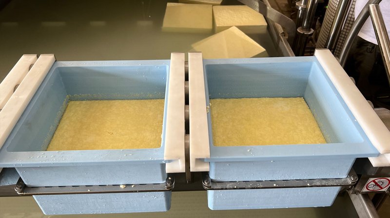 paneer moulds 1.JPG